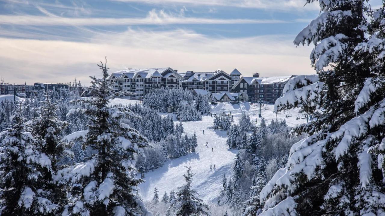 Snowshoe Ski-In & Ski-Out At Silvercreek Resort - Family Friendly, Jacuzzi, Hot Tub, Mountain Views Zewnętrze zdjęcie